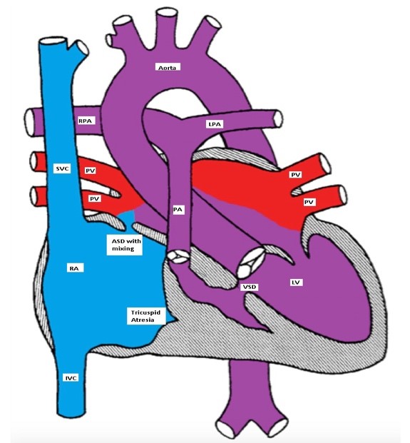 Figure 4a